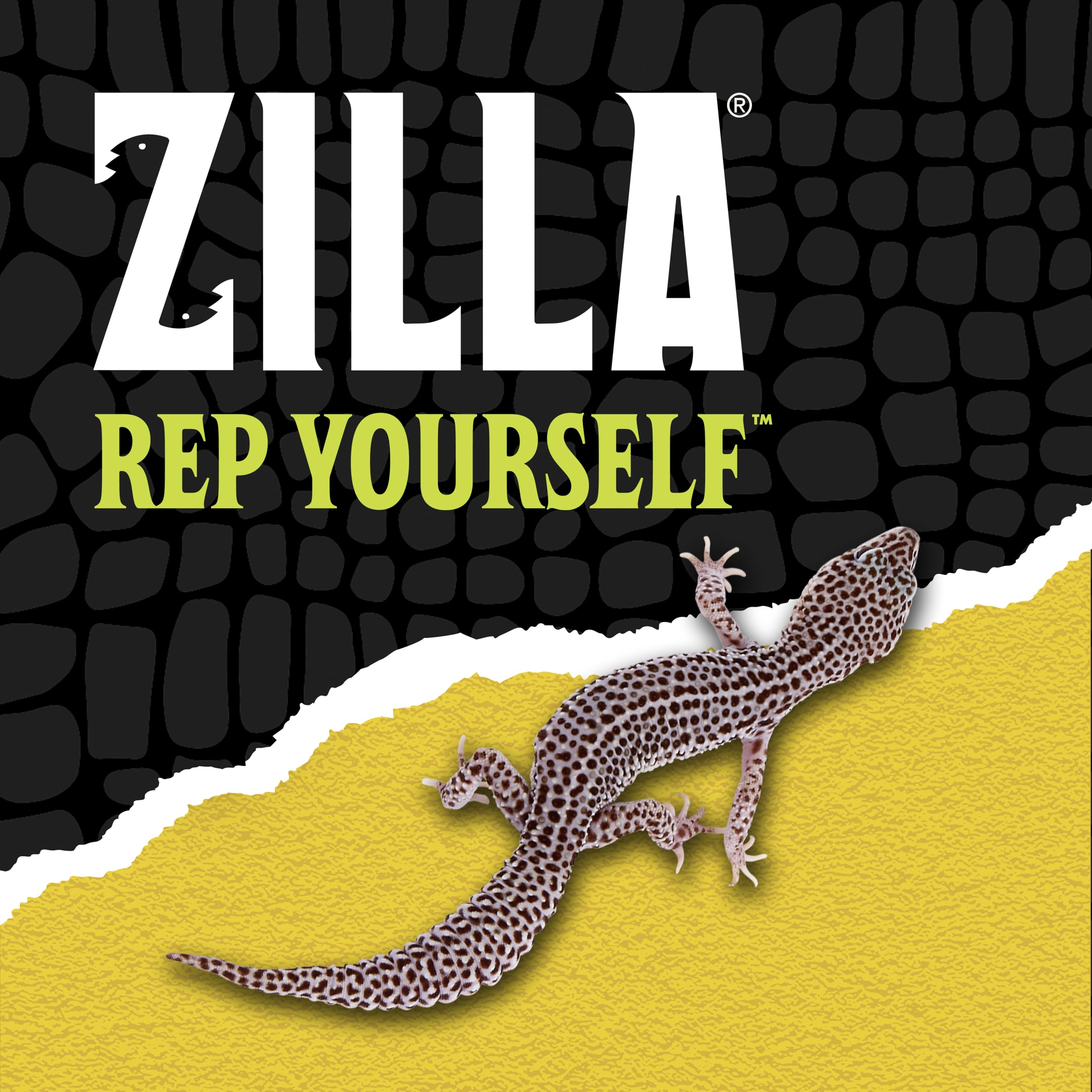 Zilla Desert Habitat Accessory Kit, Starter Kit for Reptiles, Easy Start for Desert-Dwelling Reptiles, Includes Lighting, Bedding and Food, Ideal for Size 10G Terrariums - Image 10