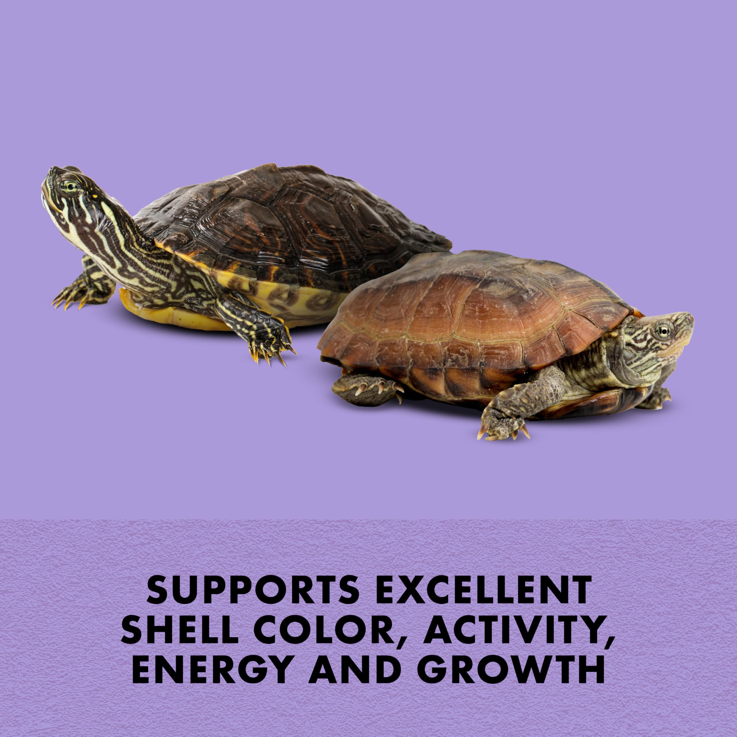 Zilla Fortified Food for Aquatic Turtles, Complete Nutritional Diet, Supports Excellent Shell Color and Activity, Extruded Pellets, 6 ounces - Image 3