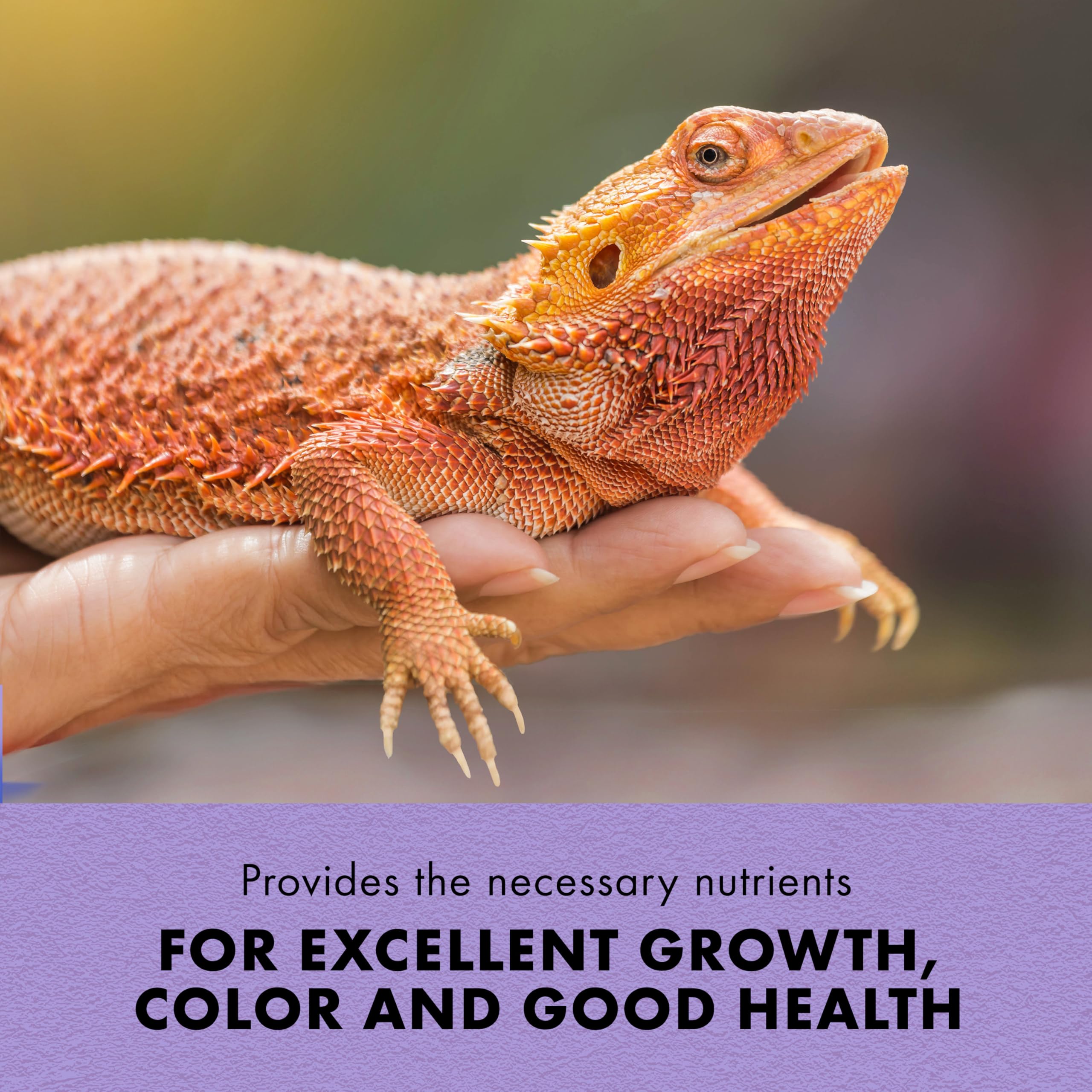 Zilla Fortified Food for Bearded Dragons, Complete Nutritional Diet, Supports Excellent Growth and Color, Extruded Pellets, 6.5 ounces - Image 3