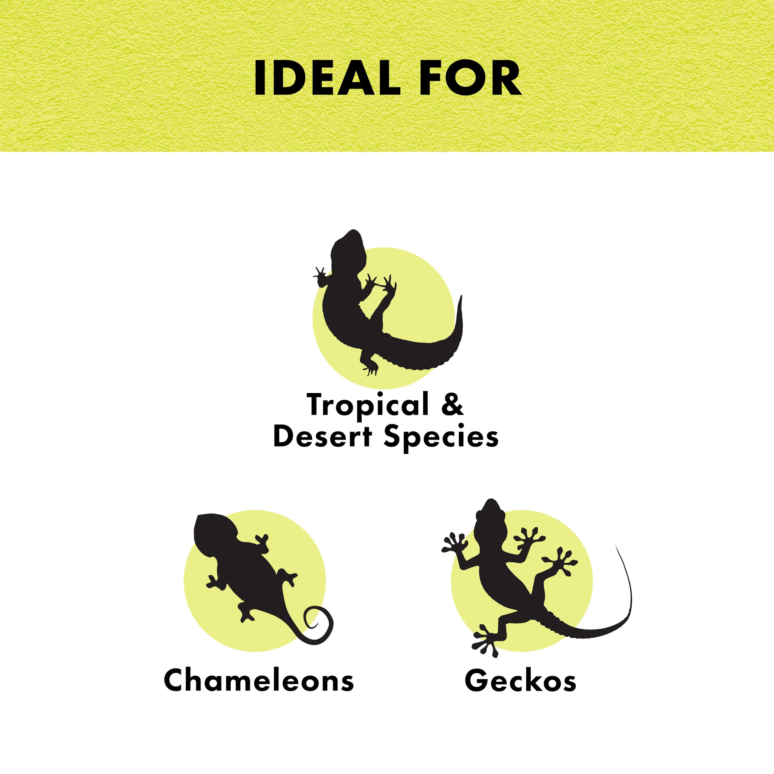 Zilla Incandescent Bulb, Day Blue - Image 3