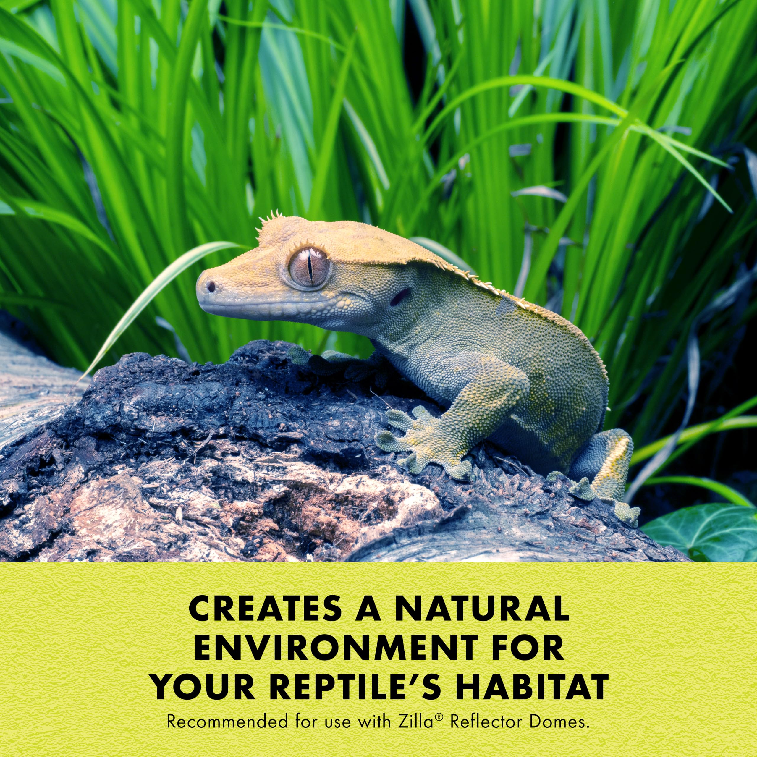 Zilla Incandescent Bulb, Day Blue - Image 4