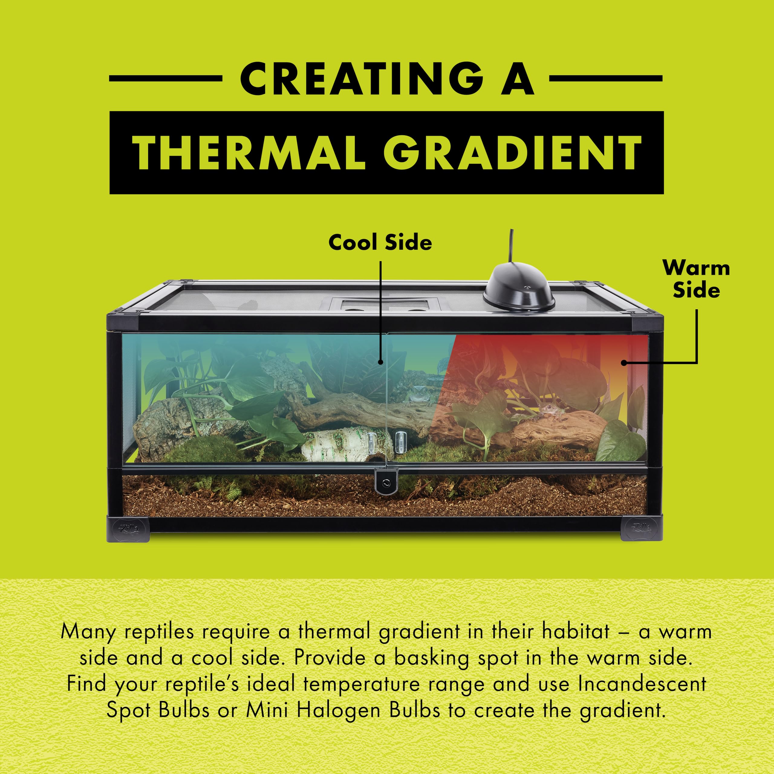 Zilla Incandescent Bulb, Day Blue - Image 5