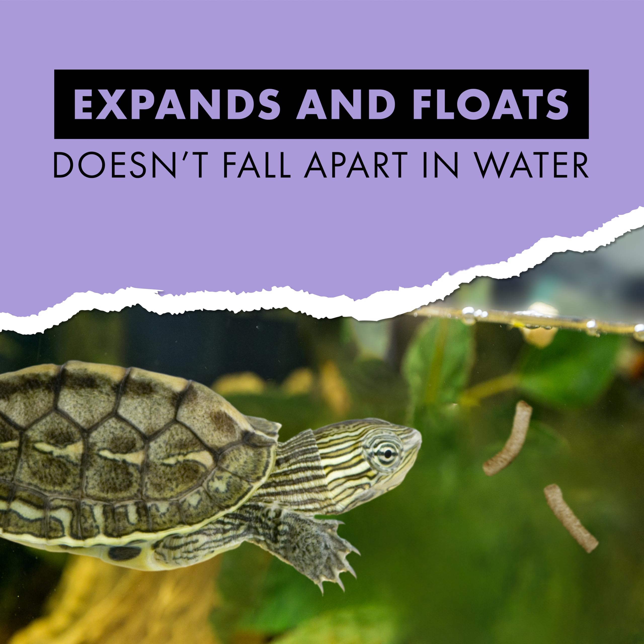 Zilla Pet Aquatic Turtle Sticks, Natural with Added Vitamins and Minerals, Nutrient-Rich Floating Food for Turtles, 4.5 oz - Image 4