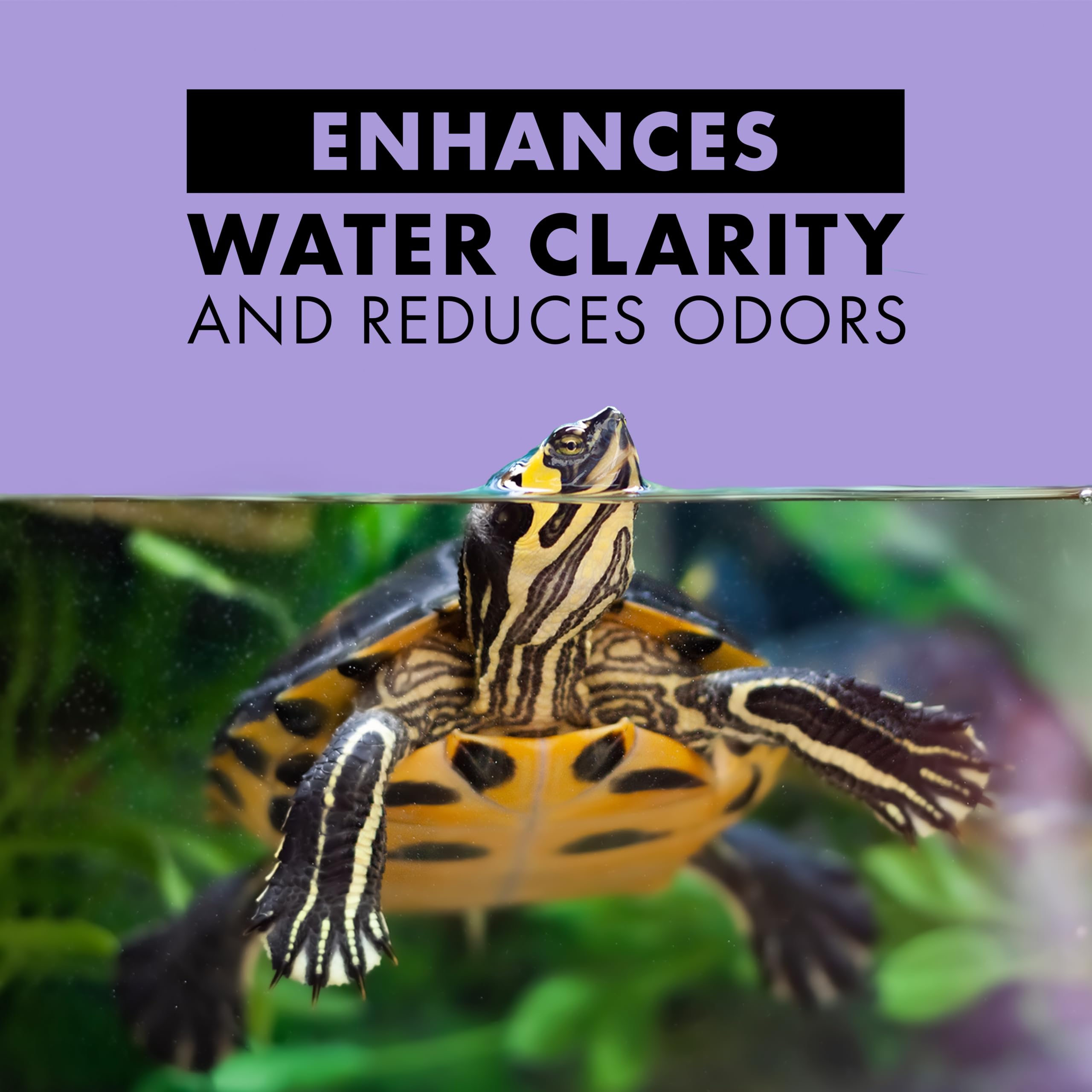 Zilla Pet Aquatic Turtle Sticks, Natural with Added Vitamins and Minerals, Nutrient-Rich Floating Food for Turtles, 4.5 oz - Image 5