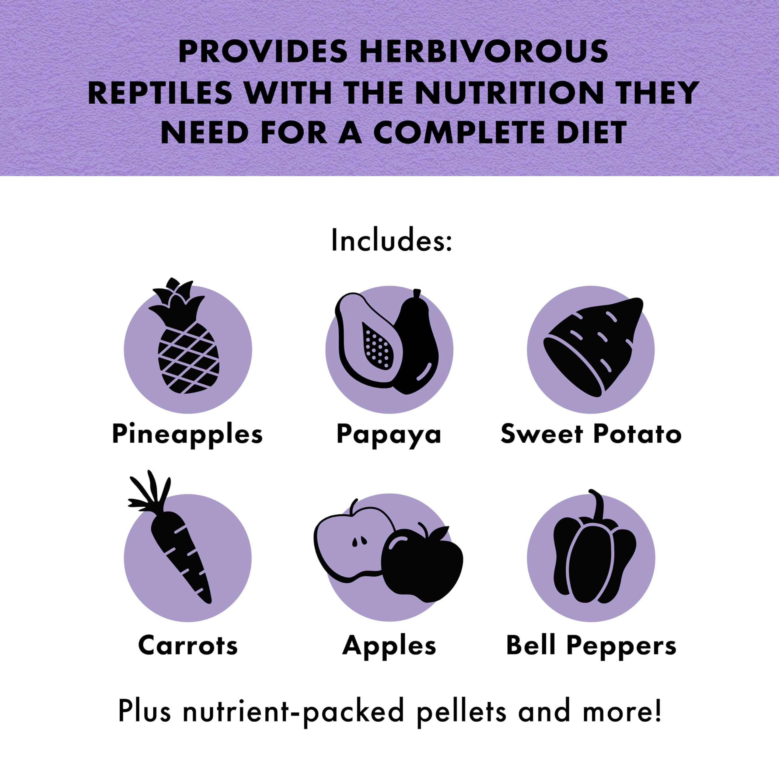 Zilla Pet Reptile Herbivore Food Medley Diet, 4 oz - Image 4