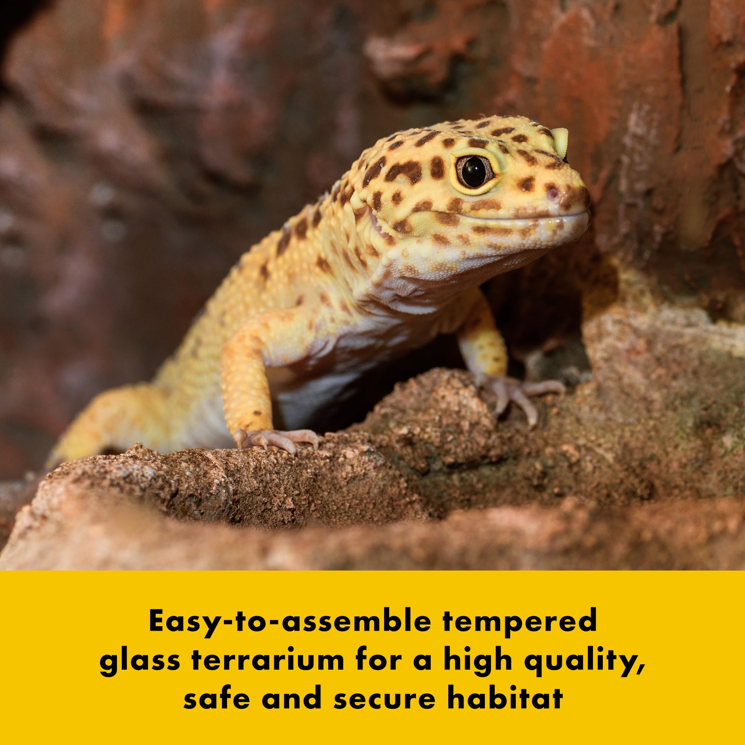 Zilla QuickBuild Reptile 20 Gallon Glass Terrarium Habitat with Swing Door For Geckos, Snakes, Lizards, Frogs, Turtles, and Tortoises, 30" x 12" x 12" - Image 4