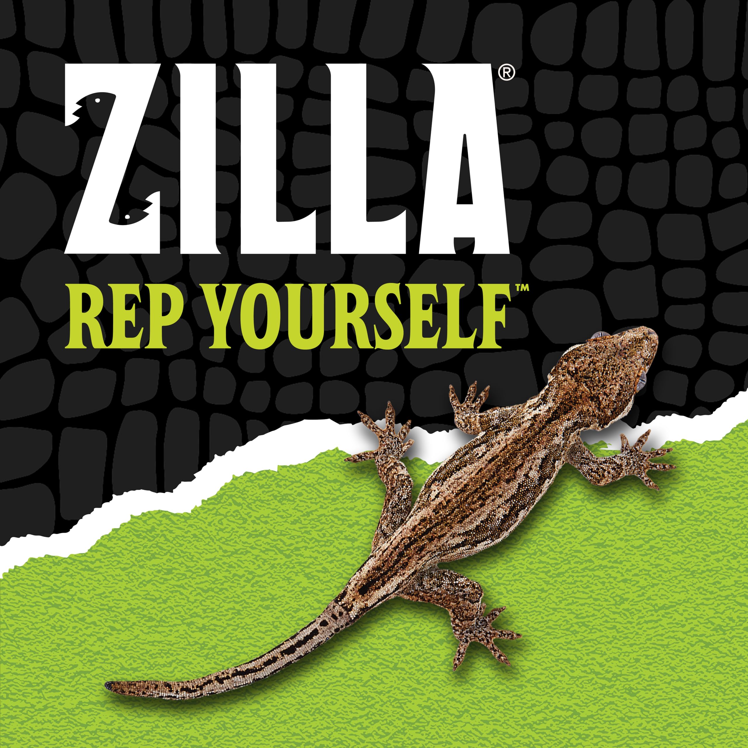 Zilla QuickBuild Reptile 20 Gallon Glass Terrarium Habitat with Swing Door For Geckos, Snakes, Lizards, Frogs, Turtles, and Tortoises, 30" x 12" x 12" - Image 7