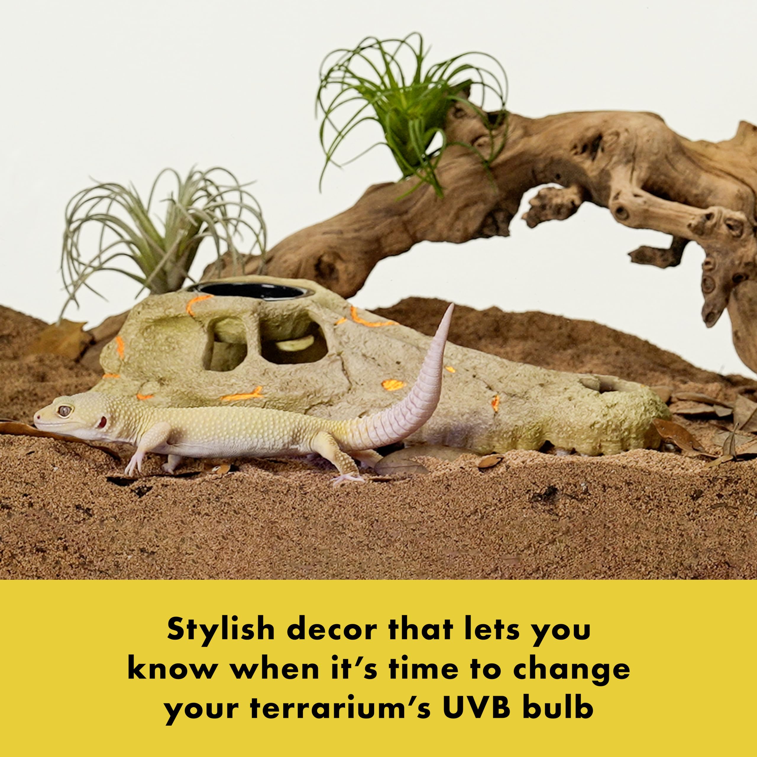 Zilla Rapid Sense UV Detecting Pet Reptile Terrarium Décor, Detects UVB Levels, Crocodile Skull, Medium - Image 3