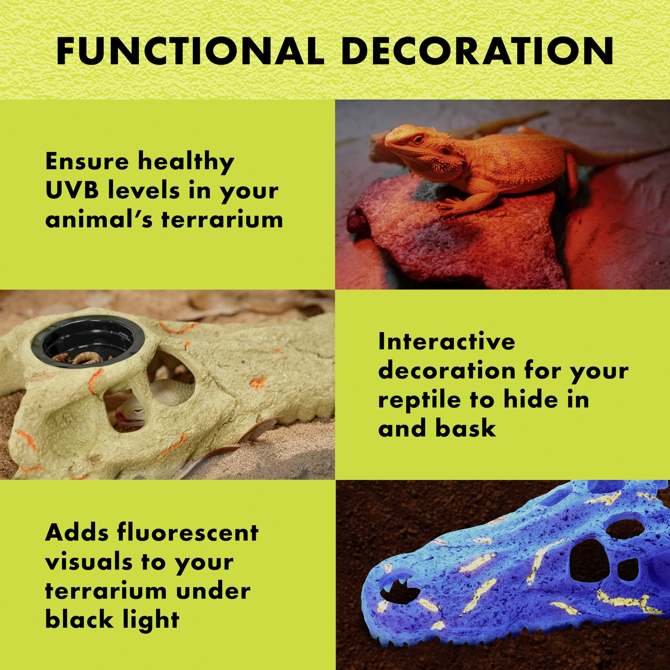 Zilla Rapid Sense UV Detecting Pet Reptile Terrarium Décor, Detects UVB Levels, Crocodile Skull, Medium - Image 4