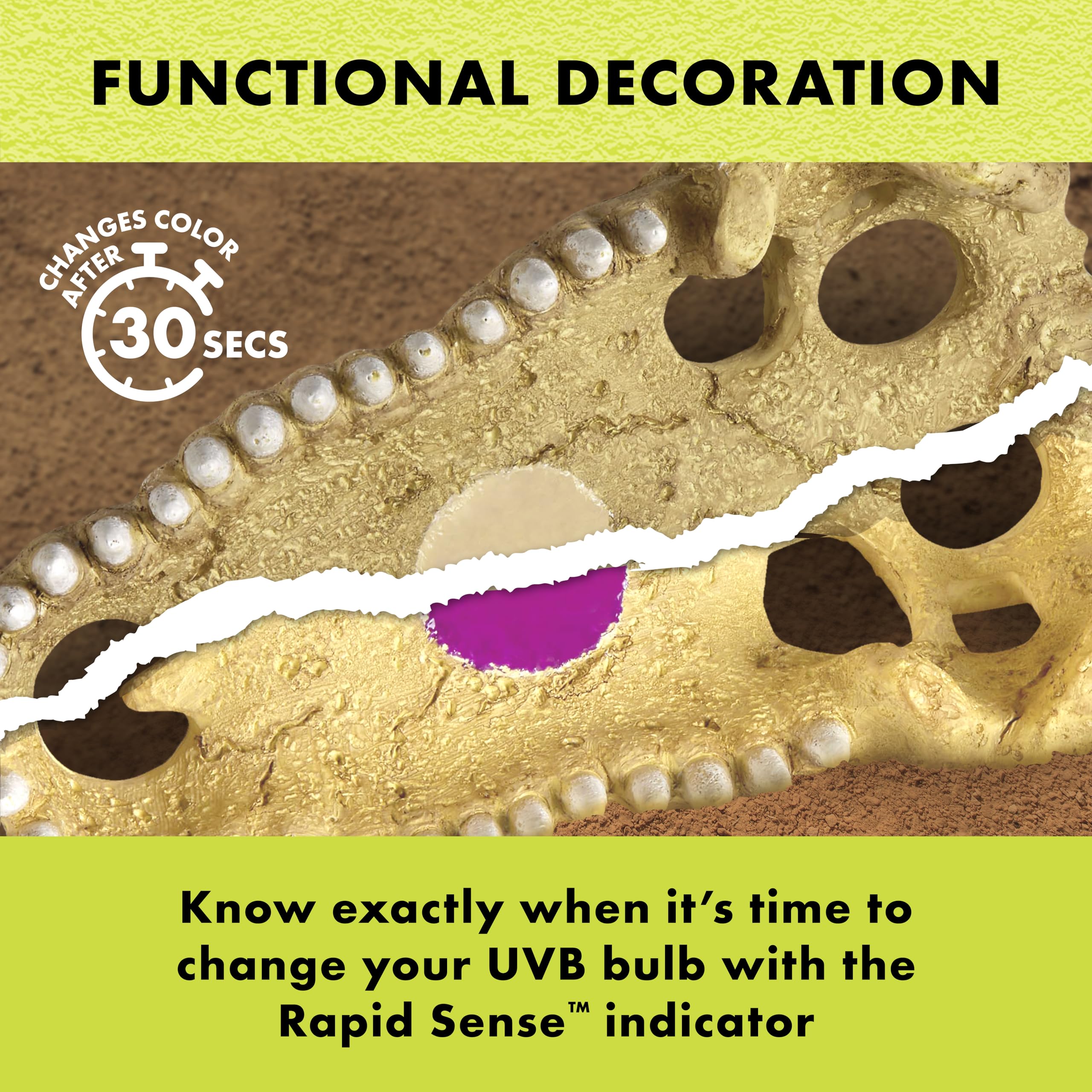 Zilla Rapid Sense UV Detecting Pet Reptile Terrarium Décor, Detects UVB Levels, Crocodile Skull, Medium - Image 5