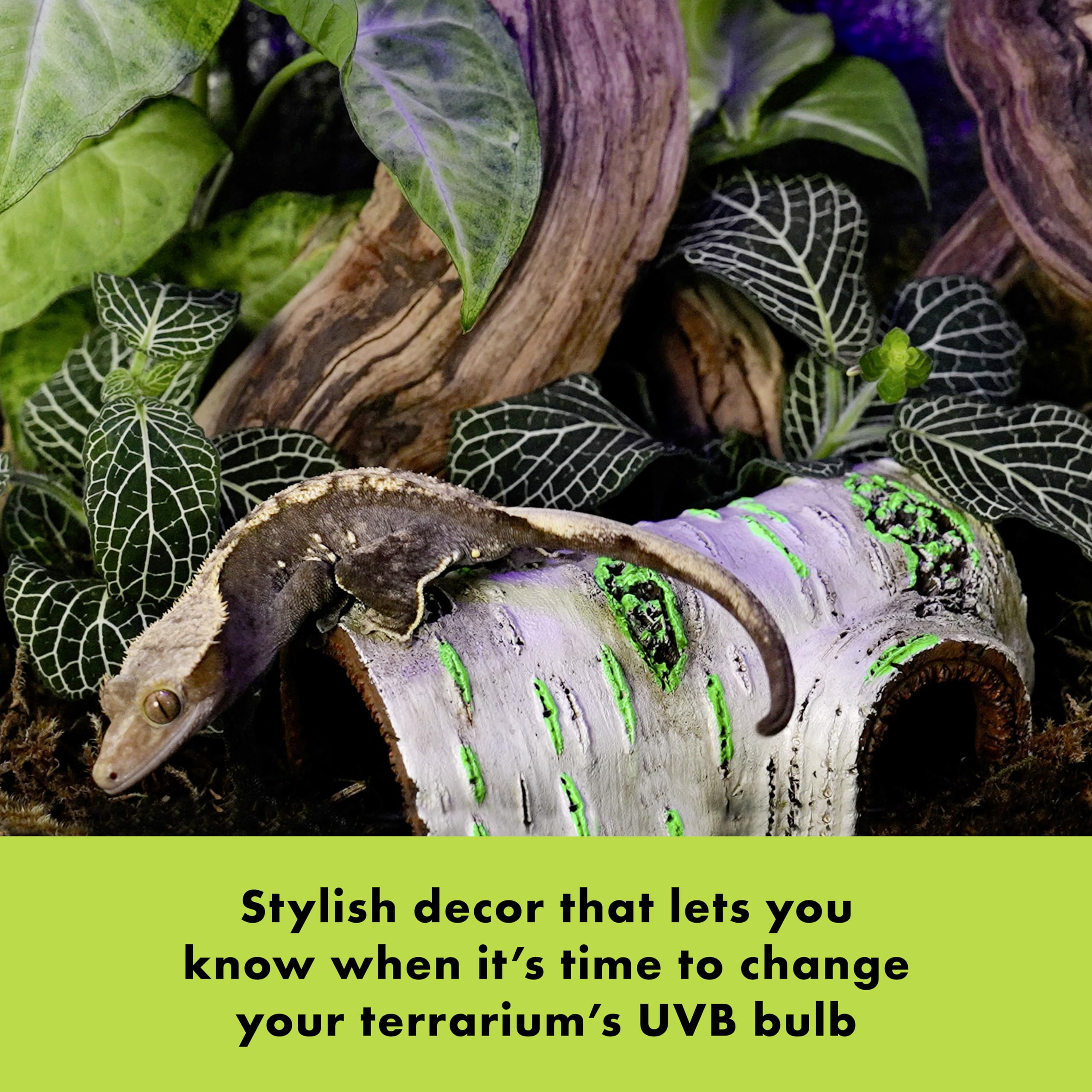 Zilla Rapid Sense UV Detecting Pet Reptile Terrarium Décor, Detects UVB Levels, Poplar Log, Medium - Image 3