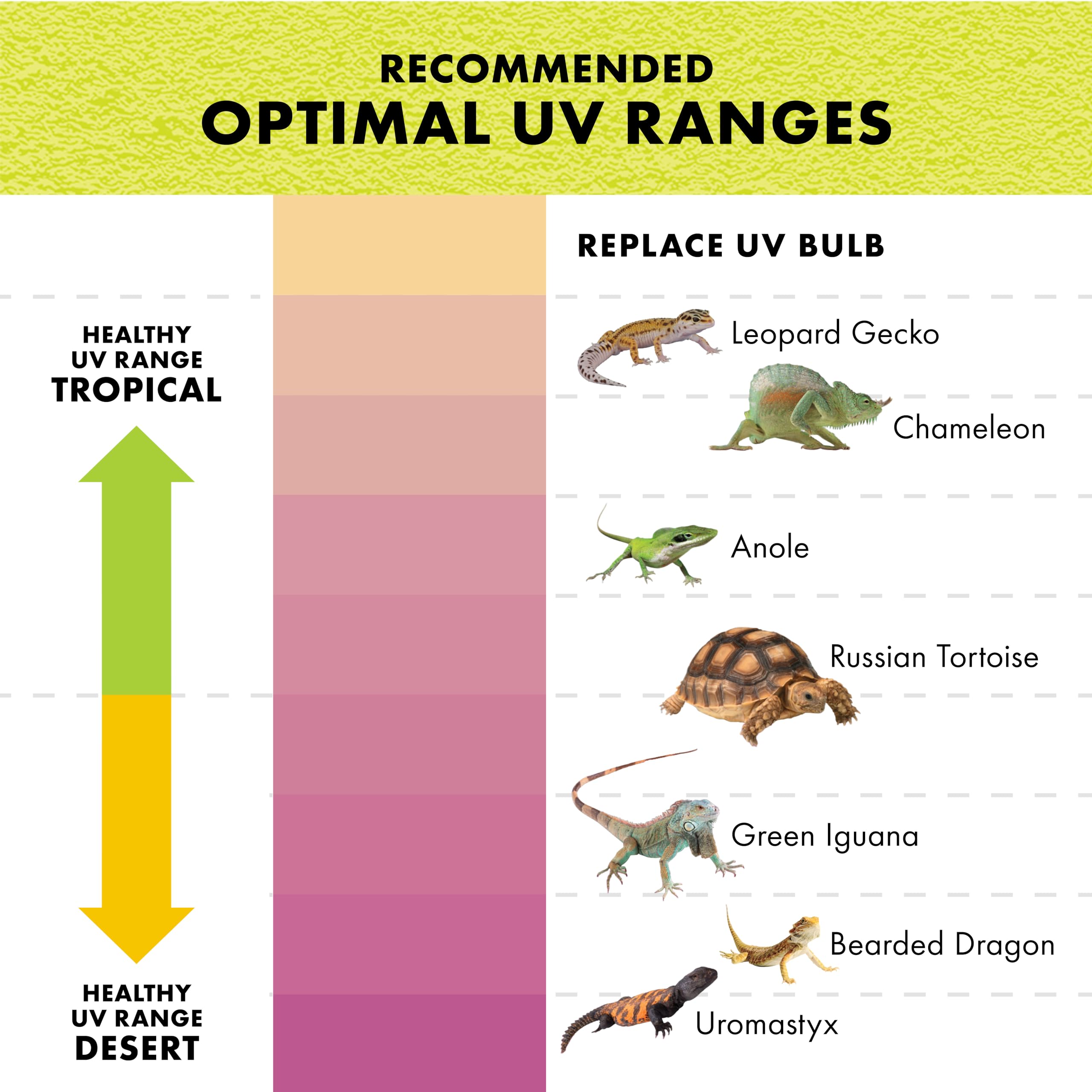 Zilla Rapid Sense UV Detecting Pet Reptile Terrarium Décor, Detects UVB Levels, Crocodile Skull, Medium - Image 6