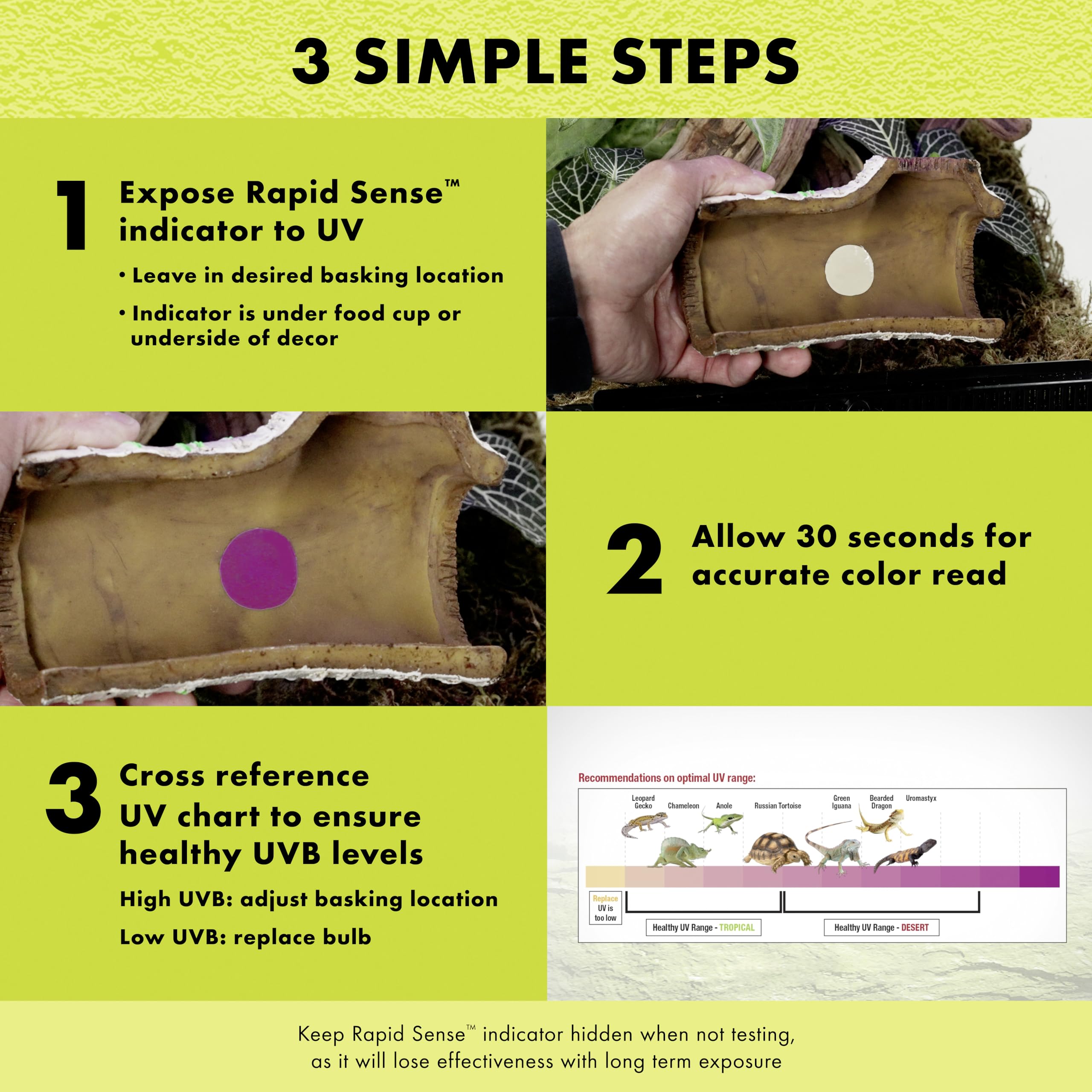 Zilla Rapid Sense UV Detecting Pet Reptile Terrarium Décor, Detects UVB Levels, Crocodile Skull, Medium - Image 7