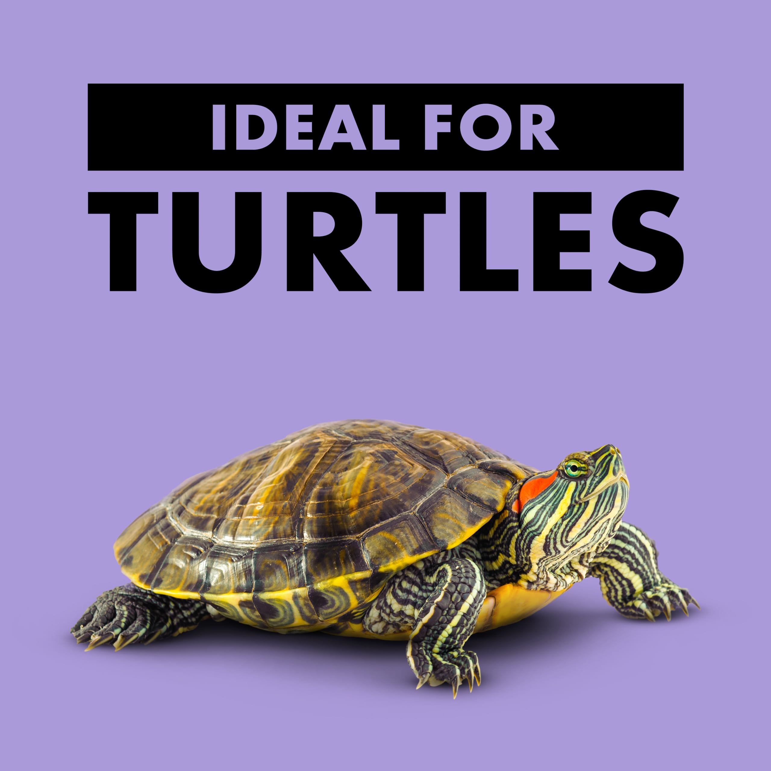 Zilla Reptile Food Munchies River Shrimp for Turtles, Salamanders, Axolotls, and Large Tropical Fish, 2-Ounce - Image 4