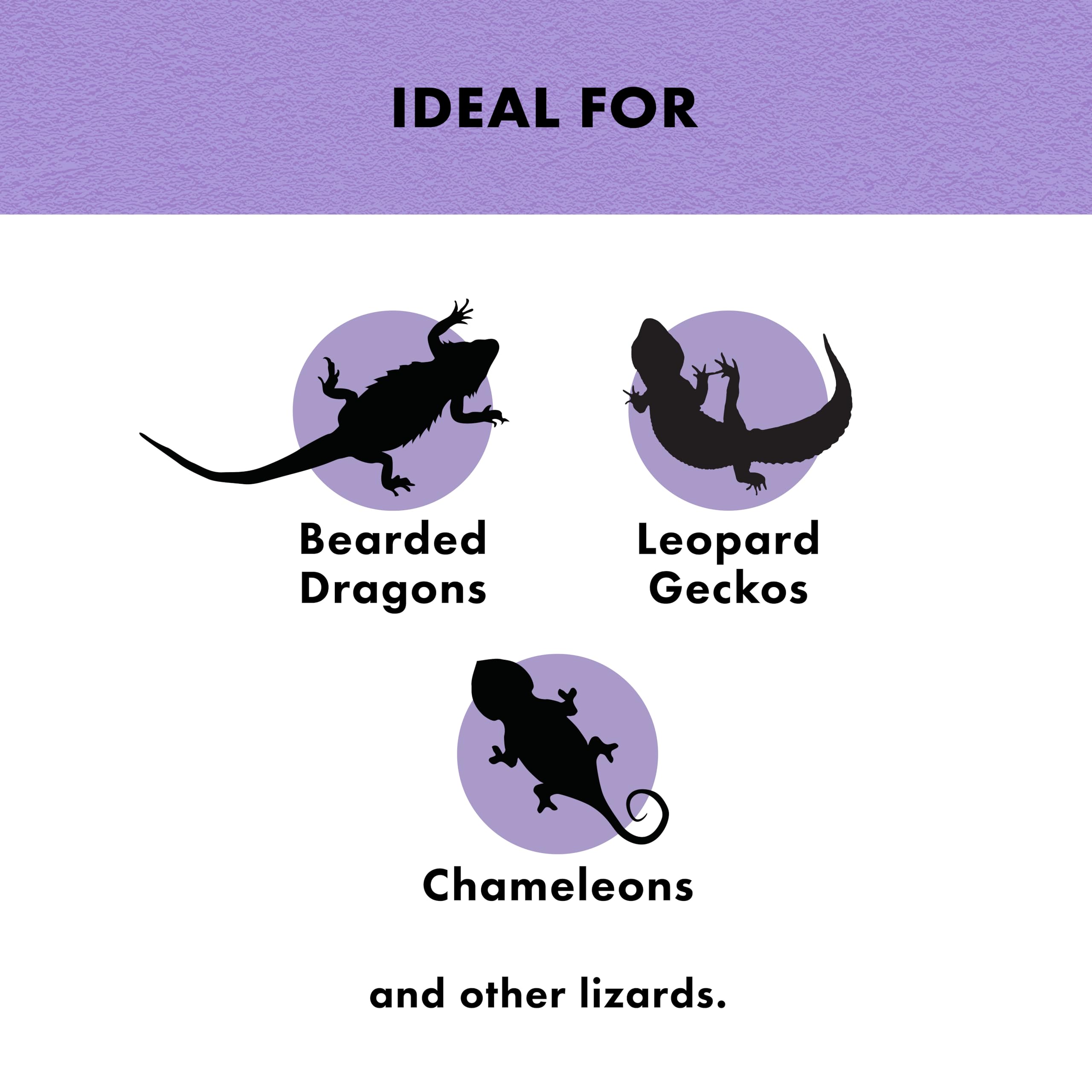 Zilla Reptile Munchies, Mealworms, All-Natural, Dehydrated Mealworms, Ideal for Bearded Dragons, Leopard Geckos, Chameleons and other lizards, Resealable Bag - Image 4