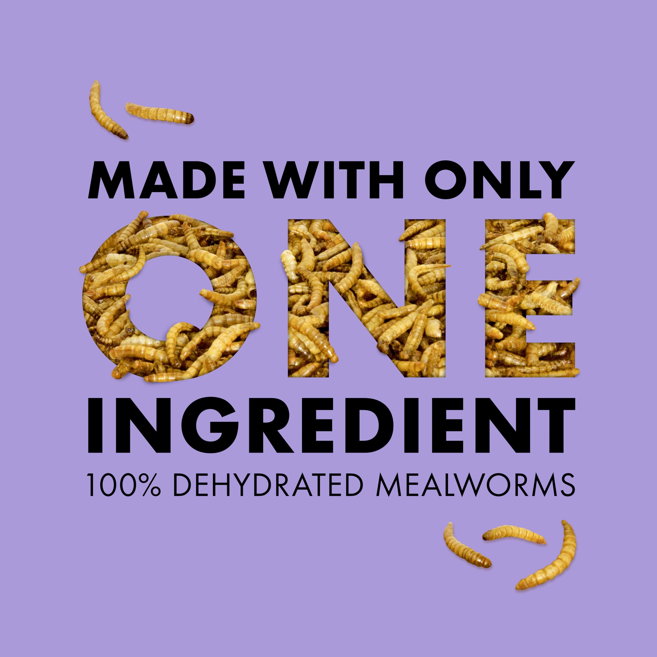 Zilla Reptile Munchies, Mealworms, All-Natural, Dehydrated Mealworms, Ideal for Bearded Dragons, Leopard Geckos, Chameleons and other lizards, Resealable Bag - Image 5