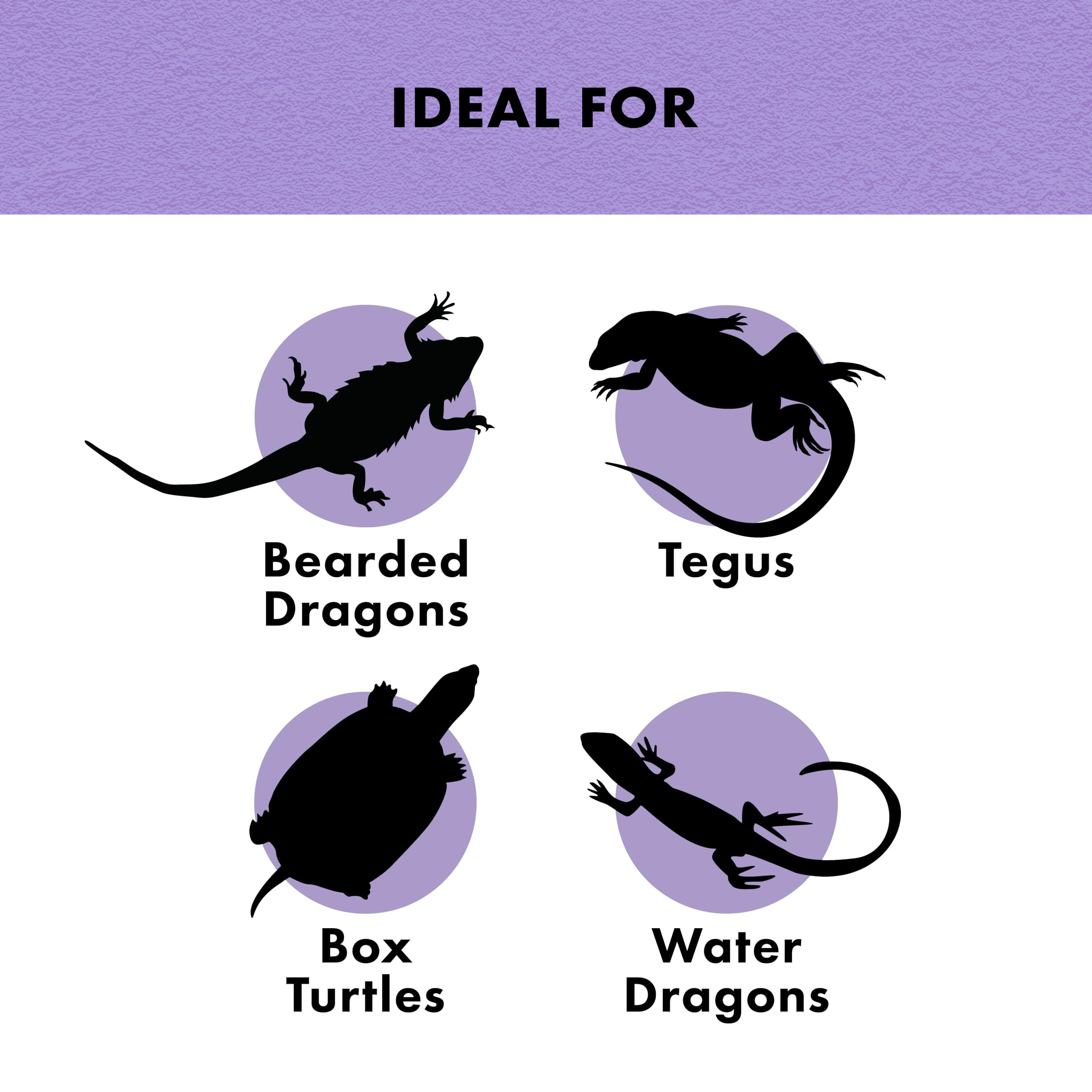 Zilla Reptile Munchies, Omnivore Mix, Dehydrated and Sun Dried Vegetables and Insects, 4 Ounces - Image 4