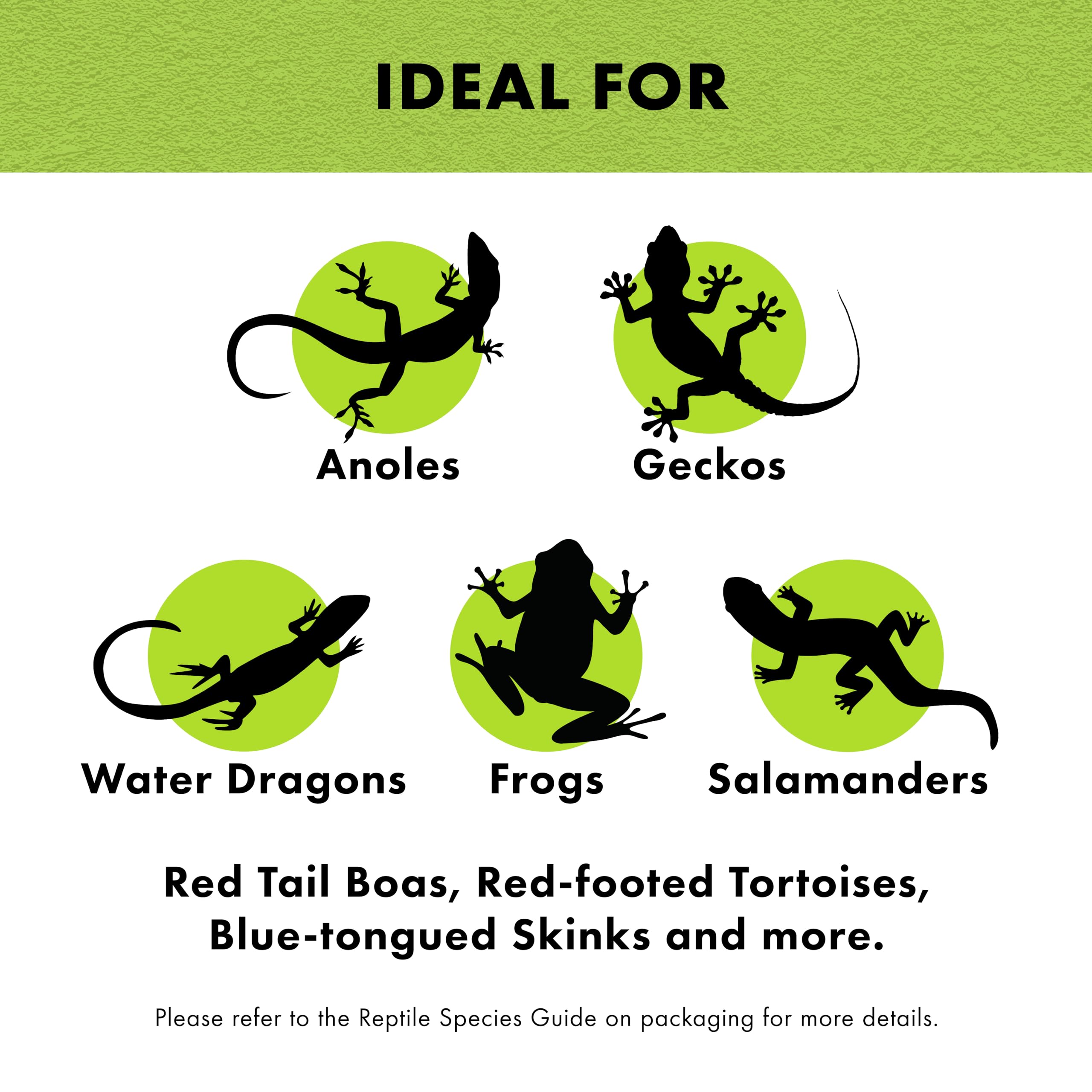 Zilla Pet Reptile Terrarium Substrate Bedding, Jungle Mix, for Frogs, Rainforest Geckos, Toads and Snakes, 24 Quart, 2 Pack - Image 5