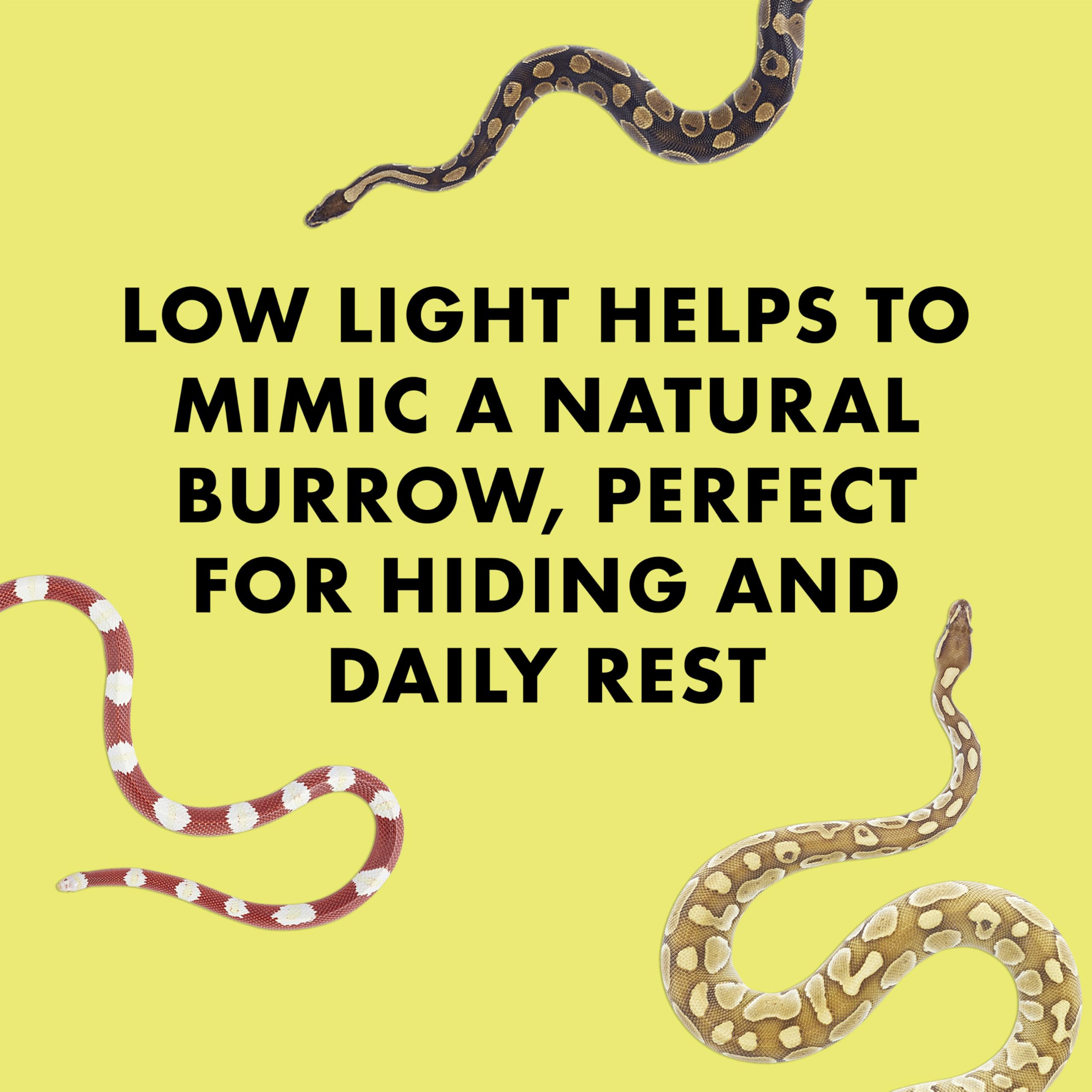 Zilla Rock Lair, Naturalistic Hide, Supports Shedding and Egg-Laying, Retains Humidity, Ideal for Snakes and Lizard, Medium - Image 5