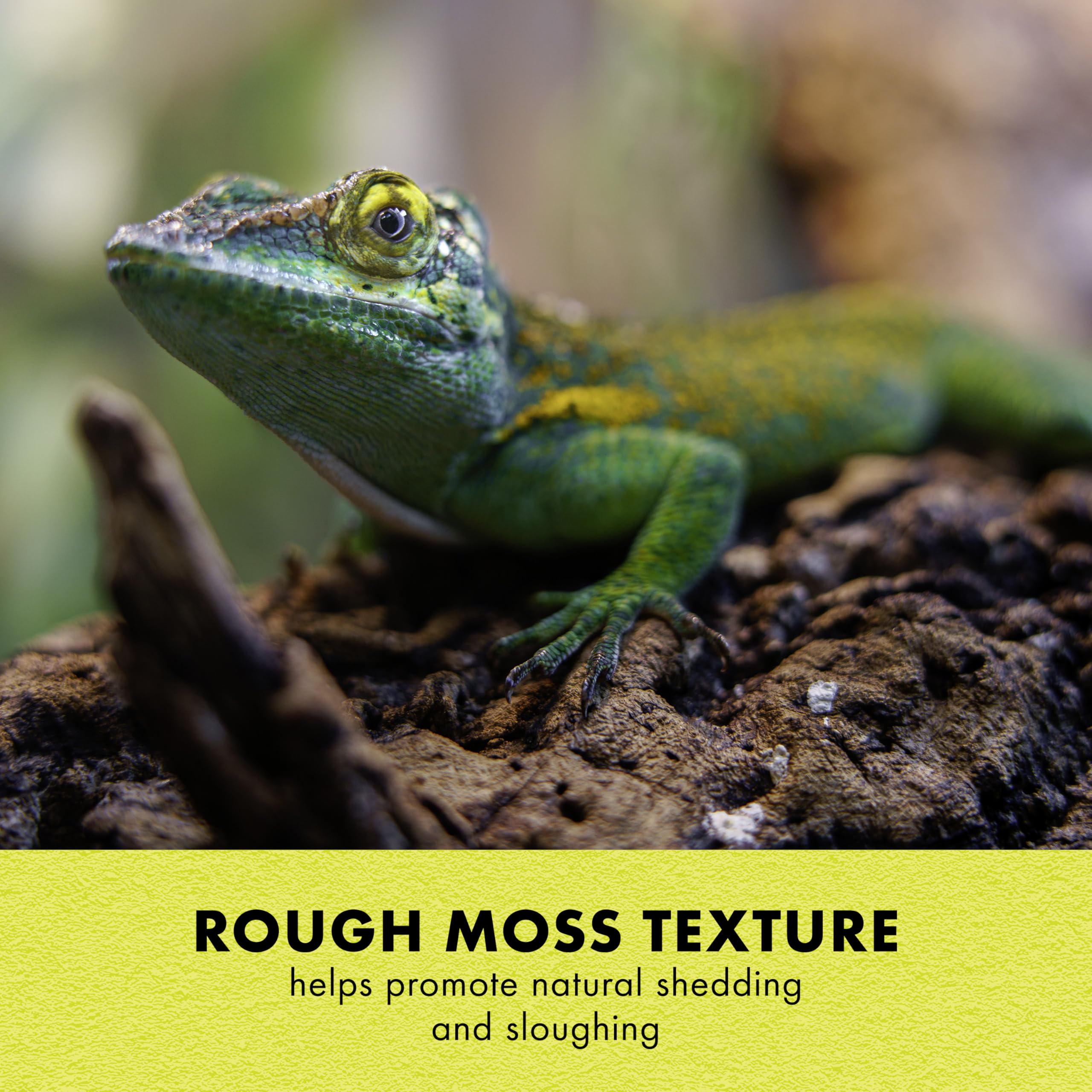 Zilla Rock Lair, Naturalistic Hide, Supports Shedding and Egg-Laying, Retains Humidity, Ideal for Snakes and Lizard, Medium - Image 6