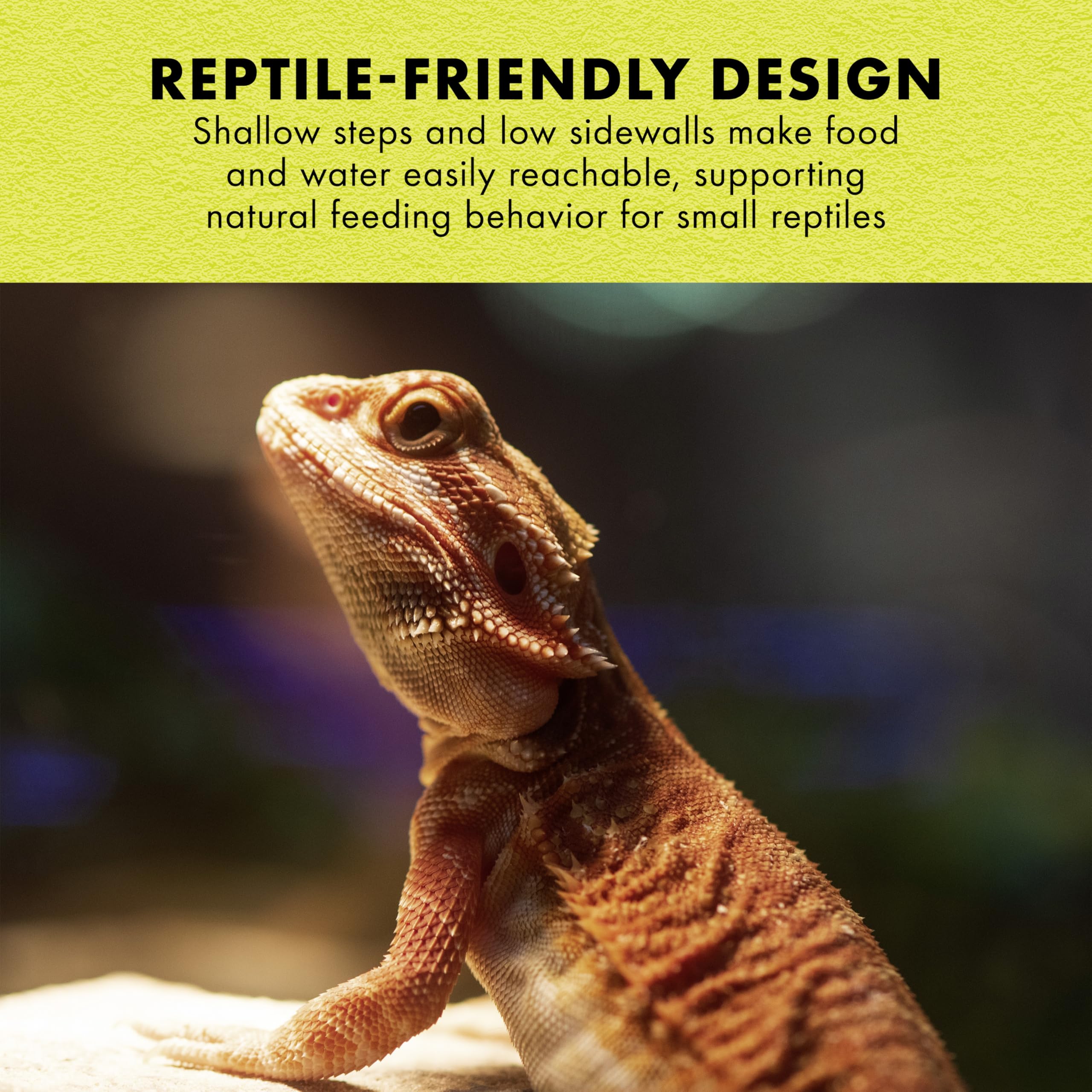 Zilla Terraced Dish, Reptile Feeding Dish, Stable and Spill-Resistant, Ideal for Geckos, Skinks, Snakes and Lizards, Medium - Image 3