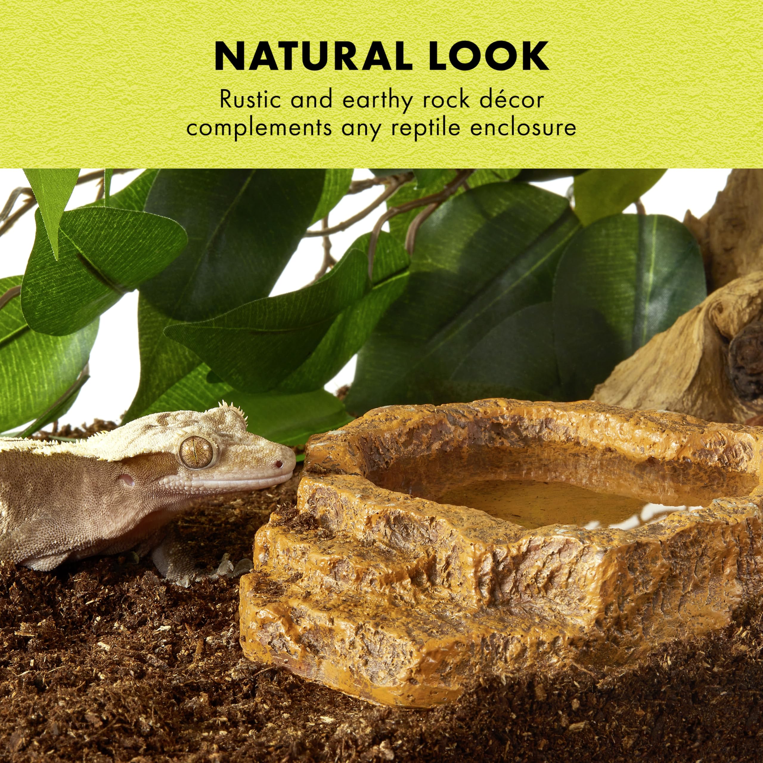 Zilla Terraced Dish, Reptile Feeding Dish, Stable and Spill-Resistant, Ideal for Geckos, Skinks, Snakes and Lizards, Medium - Image 7