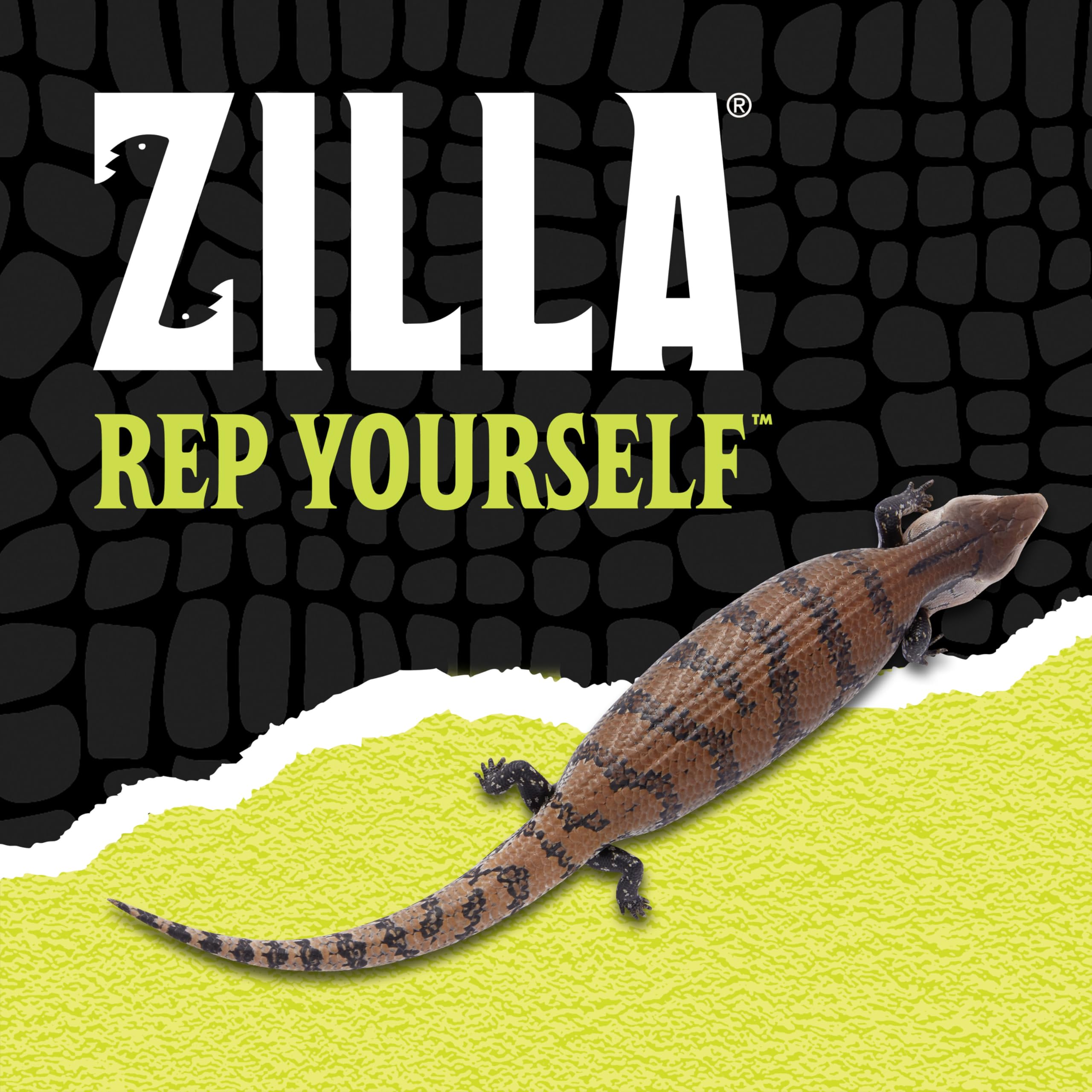 Zilla Terraced Dish, Reptile Feeding Dish, Stable and Spill-Resistant, Ideal for Geckos, Skinks, Snakes and Lizards, Medium - Image 9